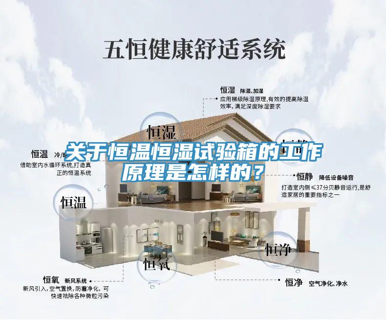 關(guān)于恒溫恒濕試驗(yàn)箱的工作原理是怎樣的？