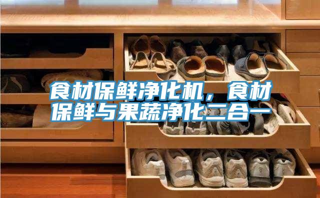 食材保鮮凈化機(jī)，食材保鮮與果蔬凈化二合一