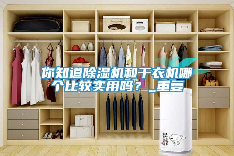 你知道除濕機和干衣機哪個比較實用嗎？_重復