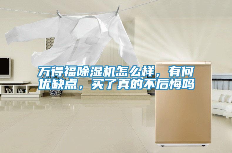 萬得福除濕機怎么樣，有何優(yōu)缺點，買了真的不后悔嗎