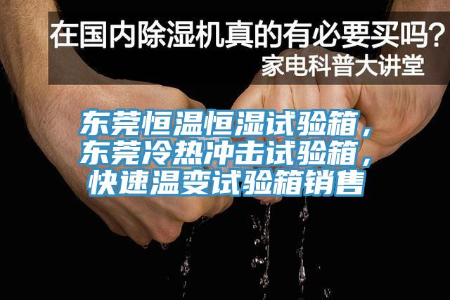 東莞恒溫恒濕試驗箱，東莞冷熱沖擊試驗箱，快速溫變試驗箱銷售