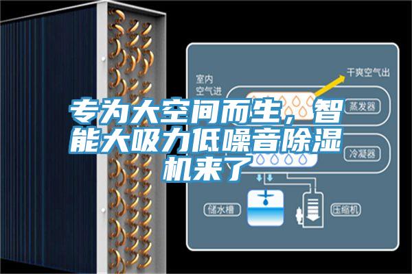 專為大空間而生，智能大吸力低噪音除濕機(jī)來了