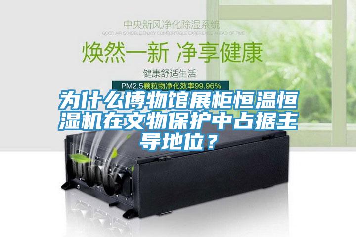 為什么博物館展柜恒溫恒濕機(jī)在文物保護(hù)中占據(jù)主導(dǎo)地位？
