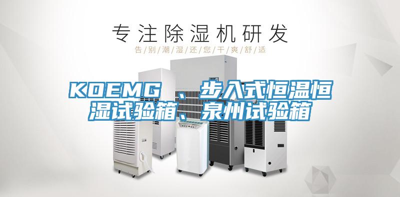 KOEMG 、步入式恒溫恒濕試驗(yàn)箱、泉州試驗(yàn)箱