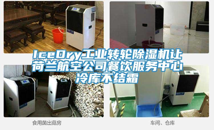 IceDry工業(yè)轉(zhuǎn)輪除濕機(jī)讓荷蘭航空公司餐飲服務(wù)中心冷庫不結(jié)霜