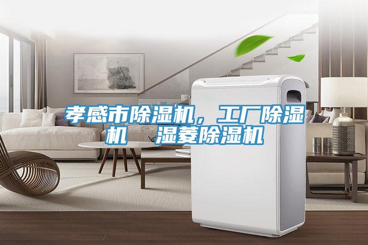 孝感市除濕機(jī)，工廠除濕機(jī)  濕菱除濕機(jī)