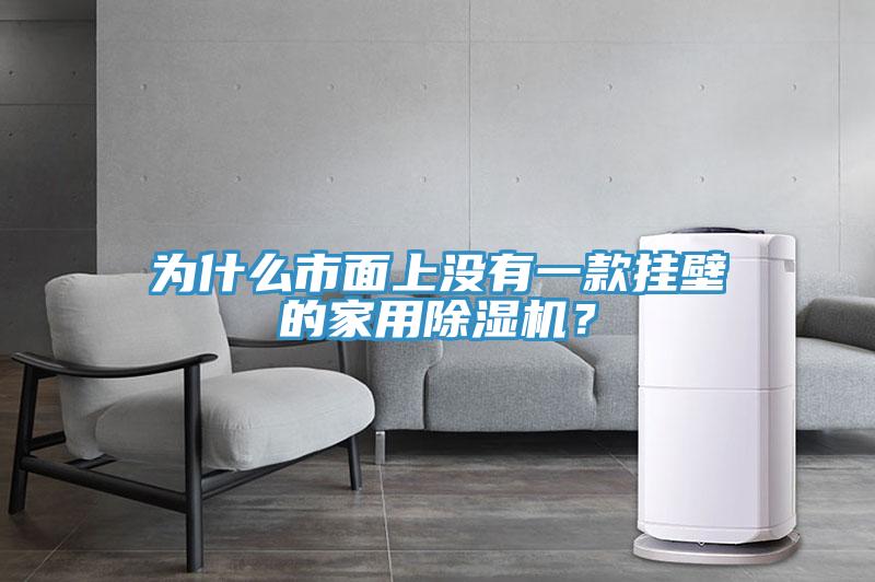 為什么市面上沒有一款掛壁的家用除濕機？