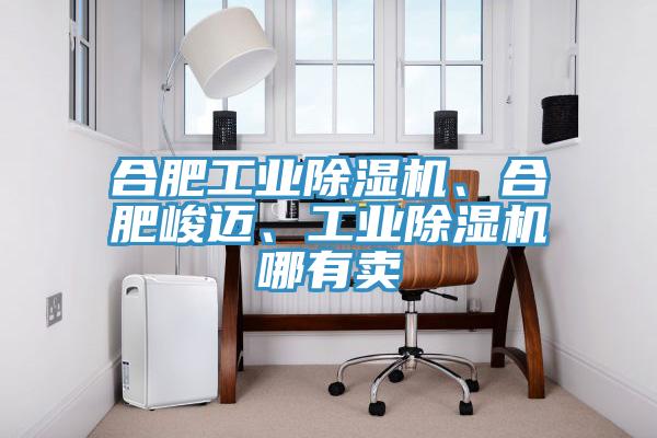 合肥工業(yè)除濕機、合肥峻邁、工業(yè)除濕機哪有賣
