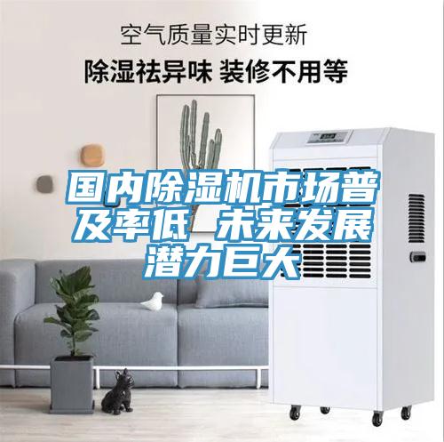 國內(nèi)除濕機(jī)市場普及率低 未來發(fā)展?jié)摿薮?/></p>
                            <p style=