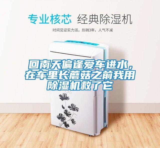 回南天偏逢愛車進(jìn)水，在車?yán)镩L蘑菇之前我用除濕機(jī)救了它