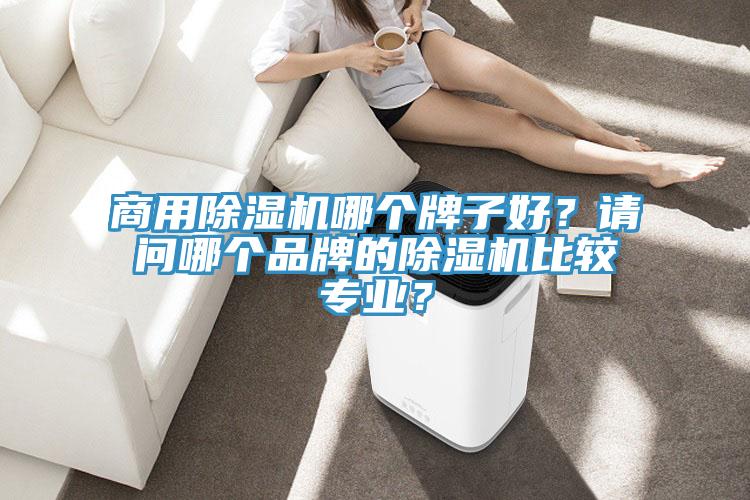 商用除濕機(jī)哪個牌子好？請問哪個品牌的除濕機(jī)比較專業(yè)？