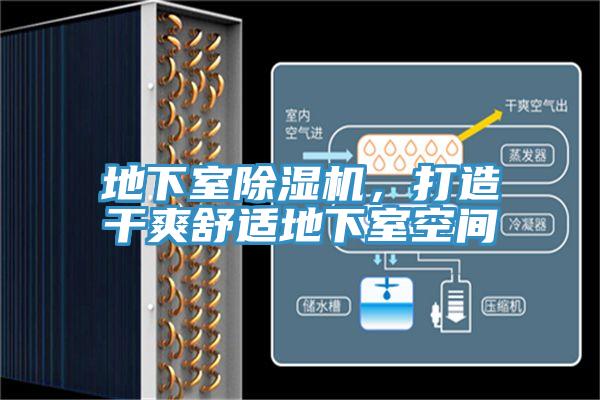地下室除濕機，打造干爽舒適地下室空間
