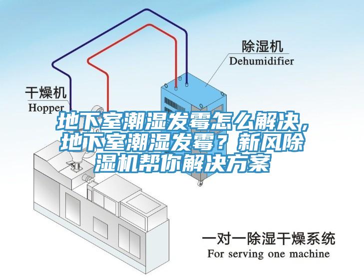 地下室潮濕發(fā)霉怎么解決，地下室潮濕發(fā)霉？新風(fēng)除濕機(jī)幫你解決方案