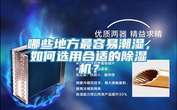 哪些地方最容易潮濕，如何選用合適的除濕機(jī)？