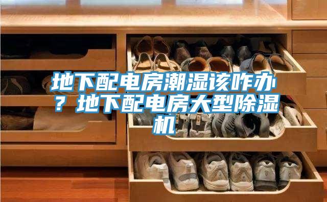 地下配電房潮濕該咋辦？地下配電房大型除濕機(jī)