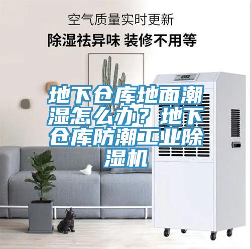 地下倉(cāng)庫(kù)地面潮濕怎么辦？地下倉(cāng)庫(kù)防潮工業(yè)除濕機(jī)