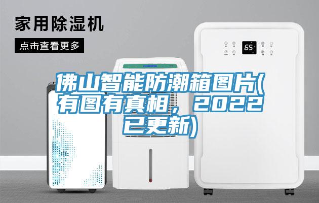 佛山智能防潮箱圖片(有圖有真相，2022已更新)