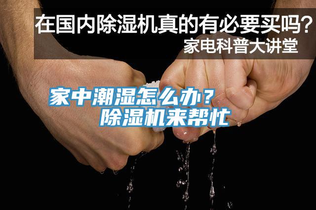 家中潮濕怎么辦？    除濕機(jī)來幫忙