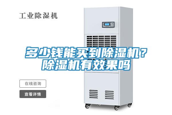 多少錢能買到除濕機？除濕機有效果嗎