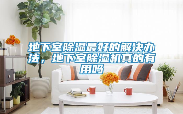 地下室除濕最好的解決辦法，地下室除濕機真的有用嗎