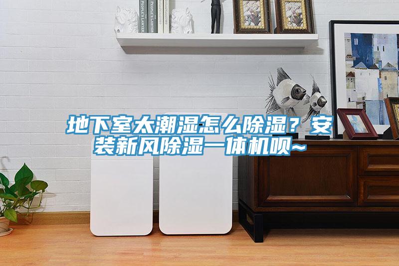 地下室太潮濕怎么除濕？安裝新風(fēng)除濕一體機(jī)唄~