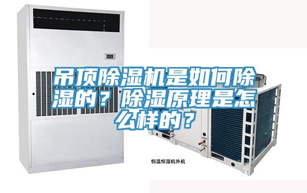 吊頂除濕機是如何除濕的？除濕原理是怎么樣的？