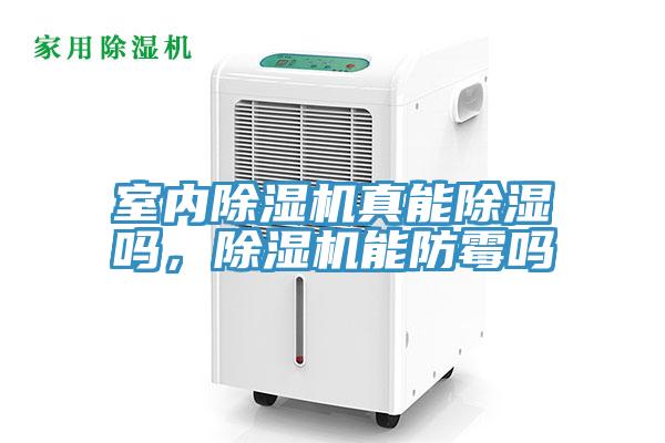 室內(nèi)除濕機(jī)真能除濕嗎，除濕機(jī)能防霉嗎