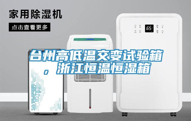 臺州高低溫交變試驗(yàn)箱，浙江恒溫恒濕箱