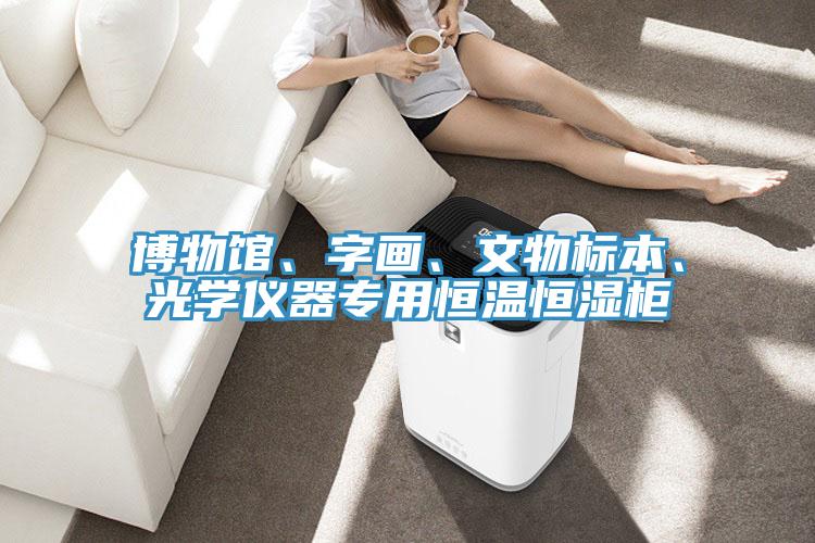 博物館、字畫(huà)、文物標(biāo)本、光學(xué)儀器專用恒溫恒濕柜