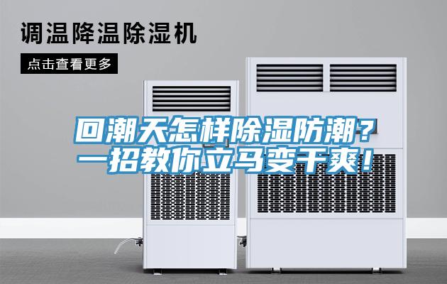 回潮天怎樣除濕防潮？一招教你立馬變干爽！