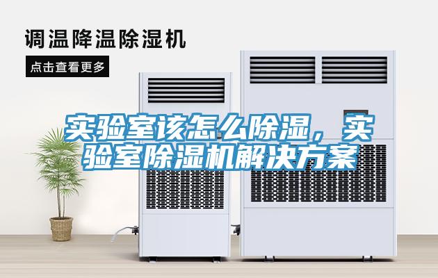 實(shí)驗(yàn)室該怎么除濕，實(shí)驗(yàn)室除濕機(jī)解決方案