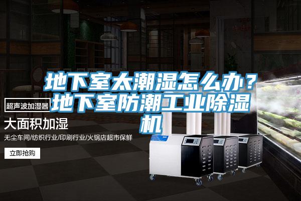 地下室太潮濕怎么辦？地下室防潮工業(yè)除濕機(jī)
