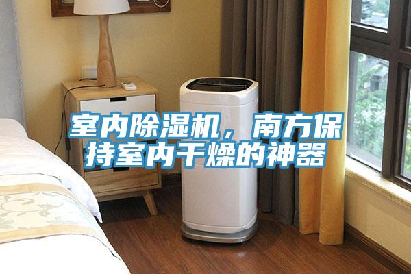 室內(nèi)除濕機(jī)，南方保持室內(nèi)干燥的神器