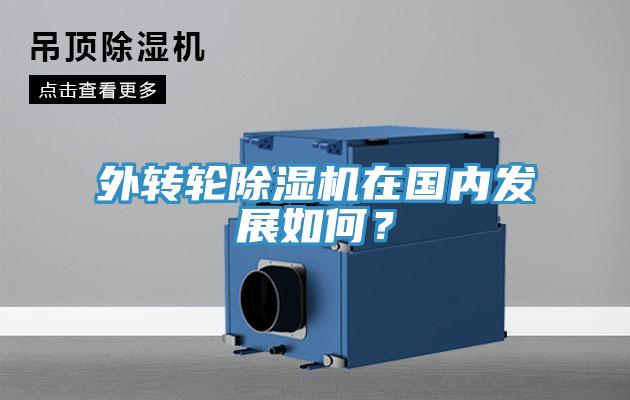 外轉(zhuǎn)輪除濕機(jī)在國(guó)內(nèi)發(fā)展如何？
