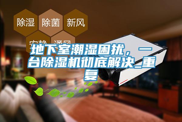 地下室潮濕困擾，一臺除濕機徹底解決_重復