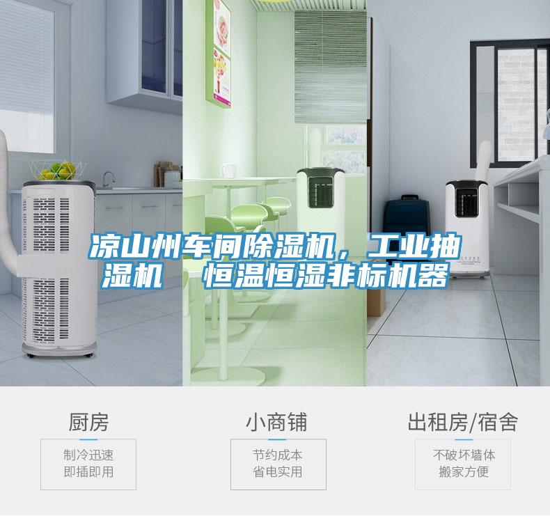 涼山州車間除濕機，工業(yè)抽濕機  恒溫恒濕非標機器