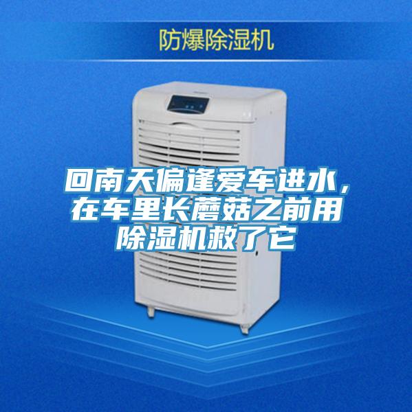 回南天偏逢愛車進(jìn)水，在車?yán)镩L蘑菇之前用除濕機(jī)救了它
