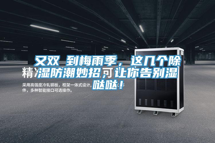 又雙叒到梅雨季，這幾個除濕防潮妙招，讓你告別濕噠噠！