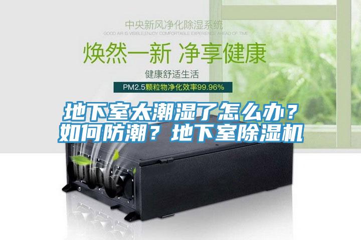 地下室太潮濕了怎么辦？如何防潮？地下室除濕機(jī)