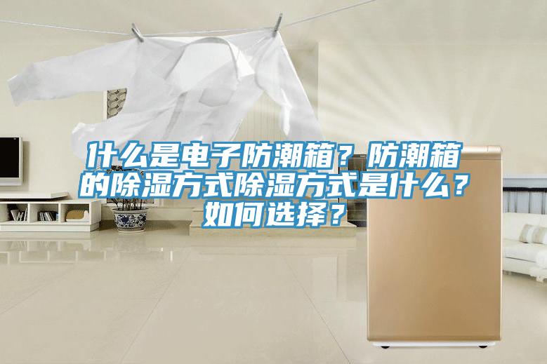 什么是電子防潮箱？防潮箱的除濕方式除濕方式是什么？如何選擇？