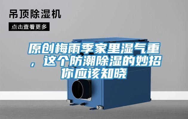原創(chuàng)梅雨季家里濕氣重，這個防潮除濕的妙招你應(yīng)該知曉