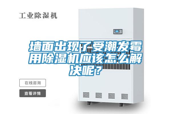 墻面出現(xiàn)了受潮發(fā)霉用除濕機(jī)應(yīng)該怎么解決呢？
