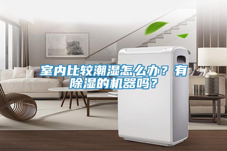 室內比較潮濕怎么辦？有除濕的機器嗎？