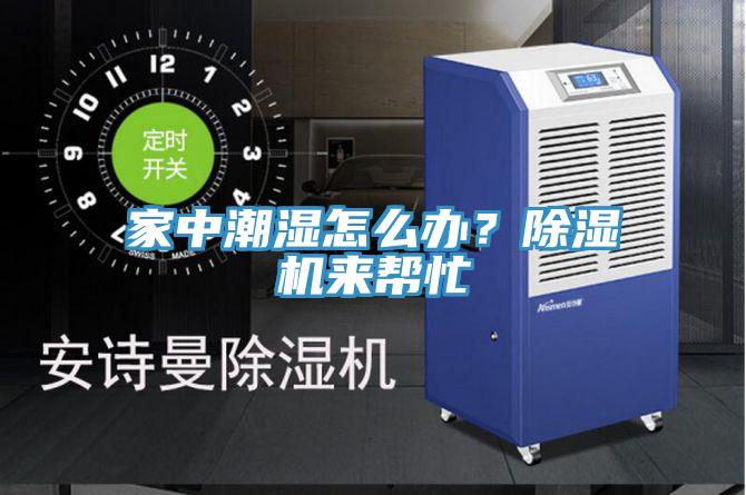 家中潮濕怎么辦？除濕機(jī)來幫忙