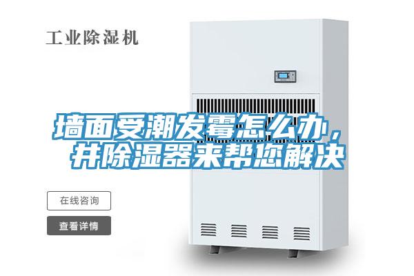 墻面受潮發(fā)霉怎么辦，東井除濕器來(lái)幫您解決