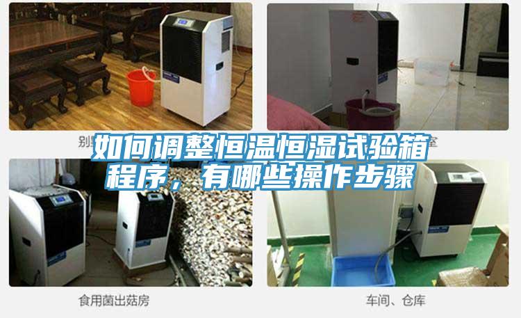 如何調(diào)整恒溫恒濕試驗(yàn)箱程序，有哪些操作步驟