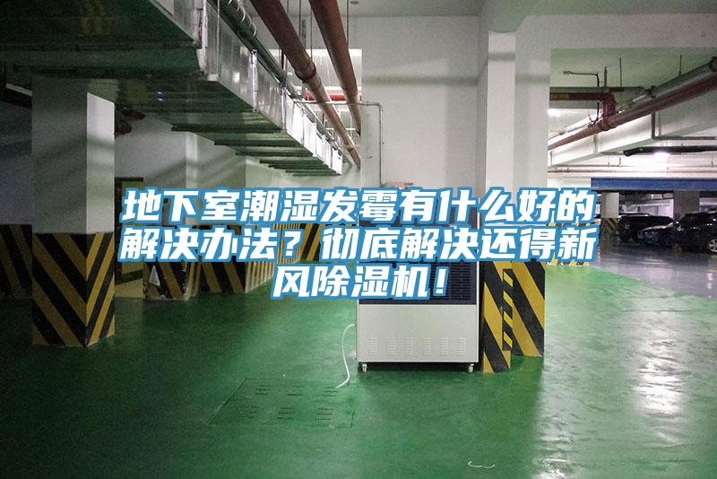 地下室潮濕發(fā)霉有什么好的解決辦法？徹底解決還得新風(fēng)除濕機(jī)！