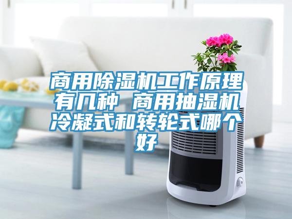 商用除濕機(jī)工作原理有幾種 商用抽濕機(jī)冷凝式和轉(zhuǎn)輪式哪個好