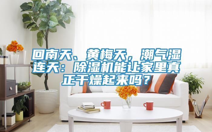 回南天、黃梅天，潮氣濕連天：除濕機(jī)能讓家里真正干燥起來嗎？