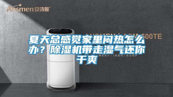 夏天總感覺家里悶熱怎么辦？除濕機帶走濕氣還你干爽
